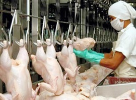 Distraves se Enriquece con el Sacrificio de Trabajadores y el Dinero de los Consumidores